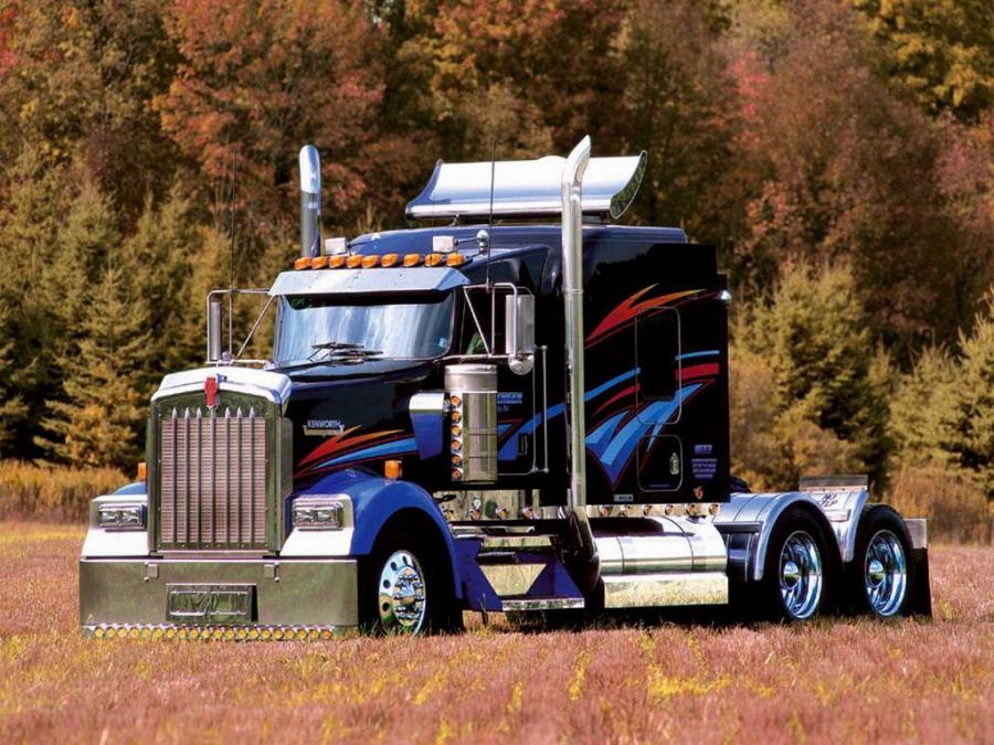  Kenworth W900 2005 года  (фото 3 из 3)